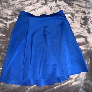 Blue Skirt